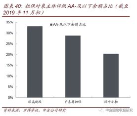 透過城投與非國企債擔保解析擔保公司——專業擔保公司信用風險跟蹤（一）從事非融資性擔保的業務風險透視