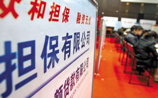 訴訟保全擔保業務與非融資性擔保的深度解析